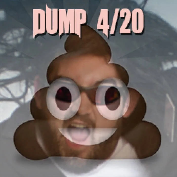 Dump cover