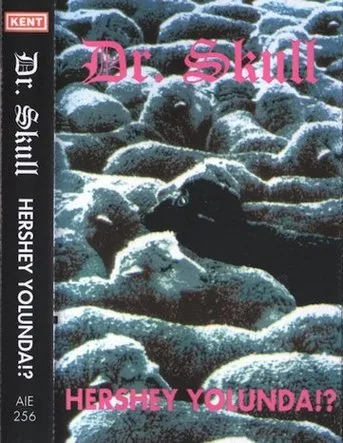 Hershey Yolunda!? cover