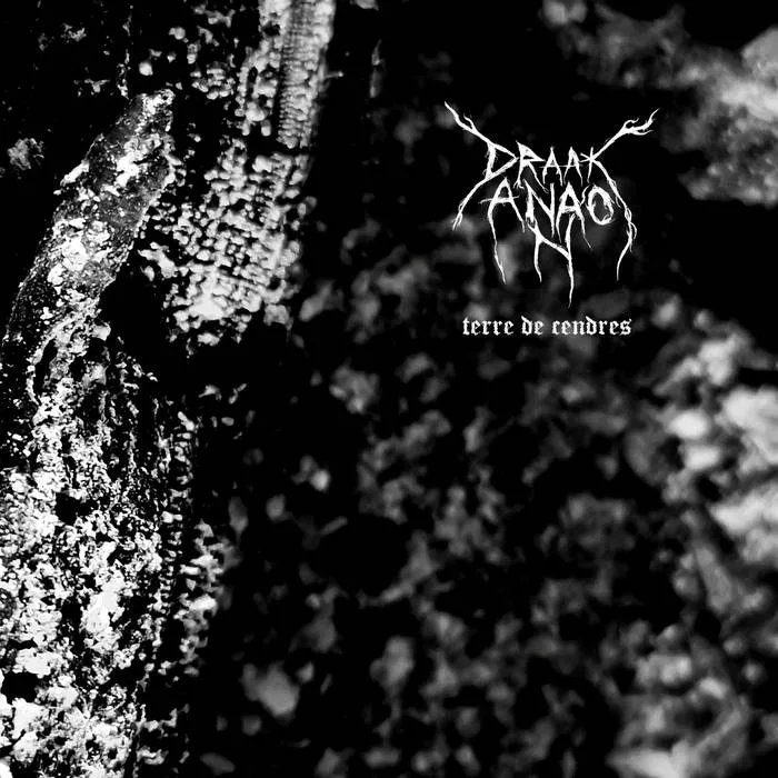 Terre de cendres cover