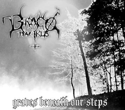 Graves Beneath Our Steps cover