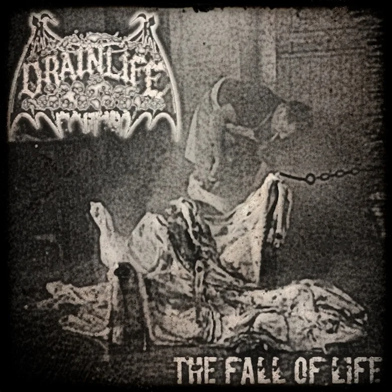 The Fall of Life cover