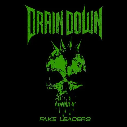 Fake Leaders cover