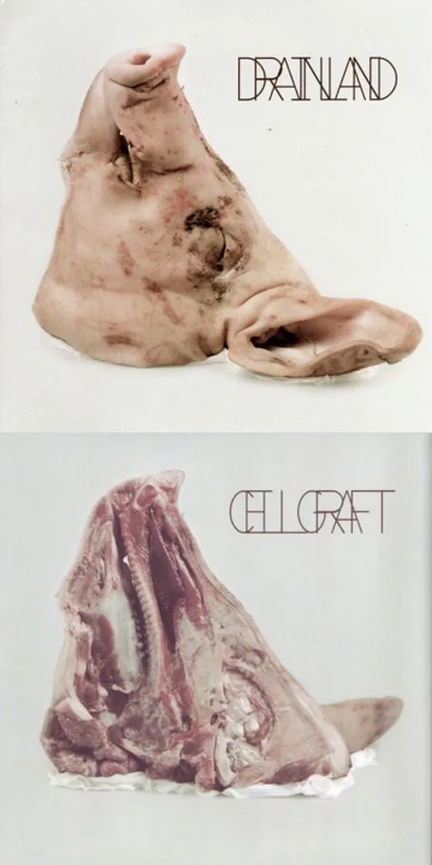Cellgraft / Drainland cover