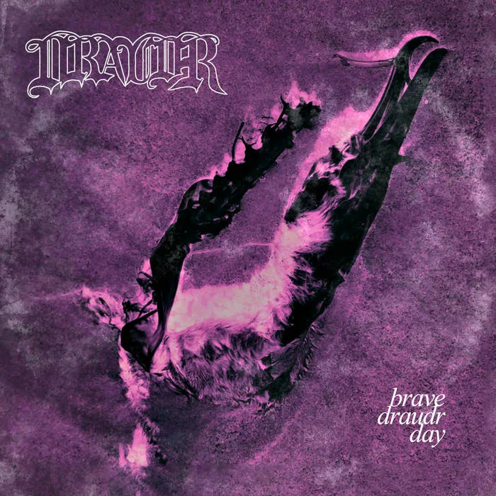 Brave Draudr Day cover