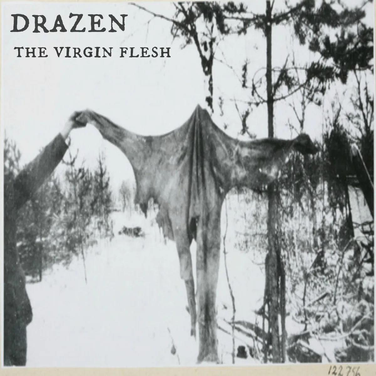 The Virgin Flesh cover