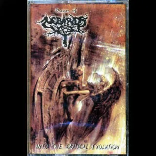 Into the Critical Evolution cover