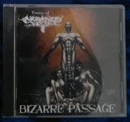 Bizarre Passage cover