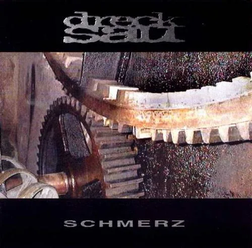 Schmerz cover