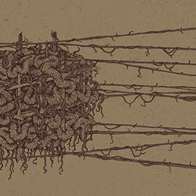 Blank and Forward cover