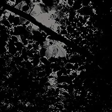 Obsolescence cover