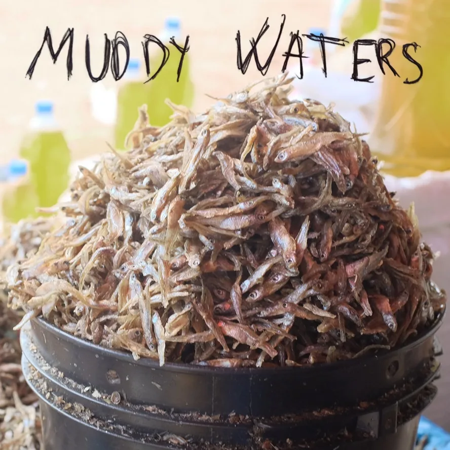 Muddy Waters cover
