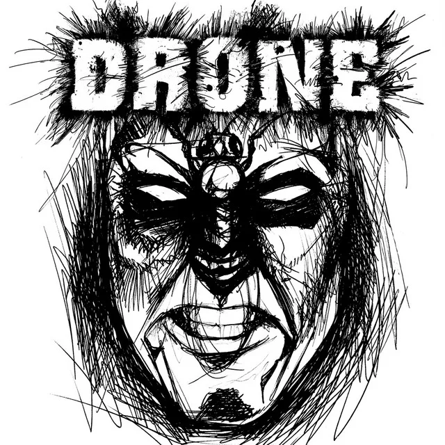Drone cover