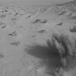 From Dust to Stone cover