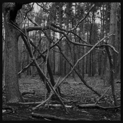 Drowning Horse cover