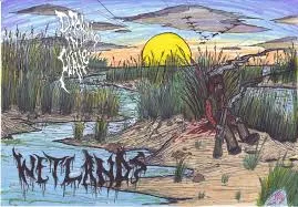 Wetlands cover