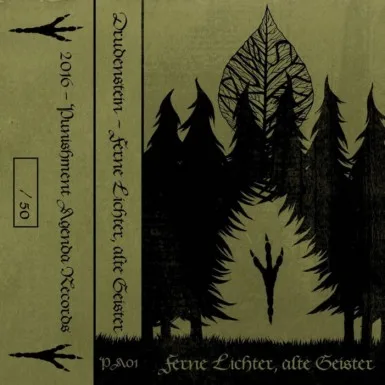 Ferne Lichter, alte Geister cover