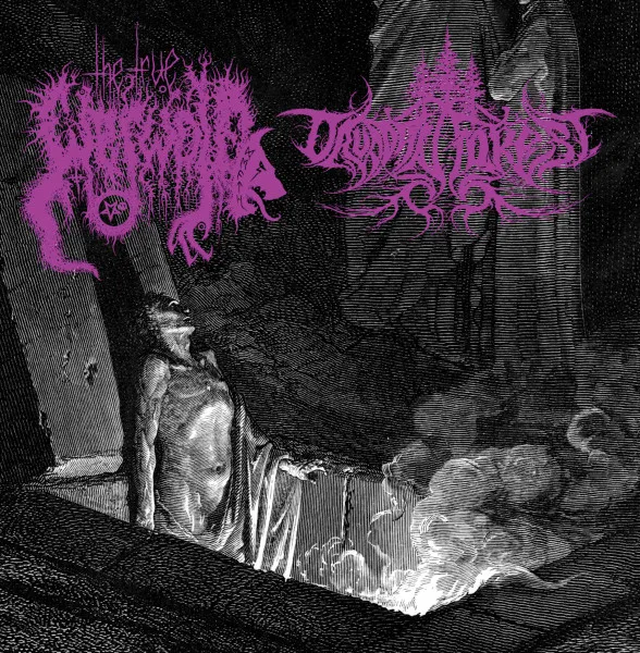 The True Werwolf / Druadan Forest cover