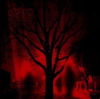 Ghost in the Fire cover