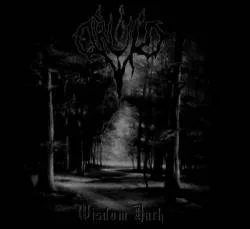 Wisdom Dark cover