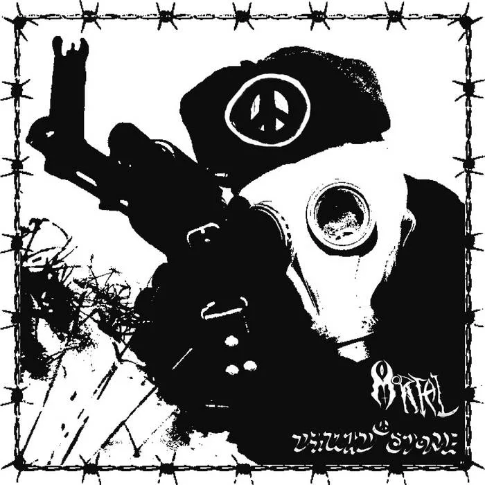 Druid Stone / Mortal cover