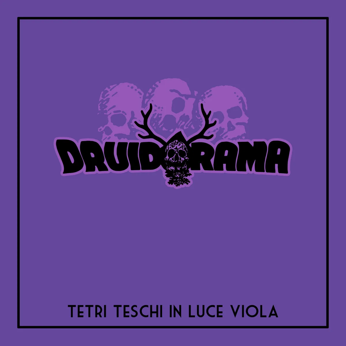 Tetri Teschi In Luce Viola cover