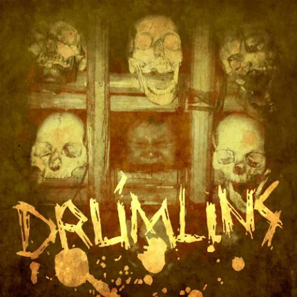 Drumlins cover