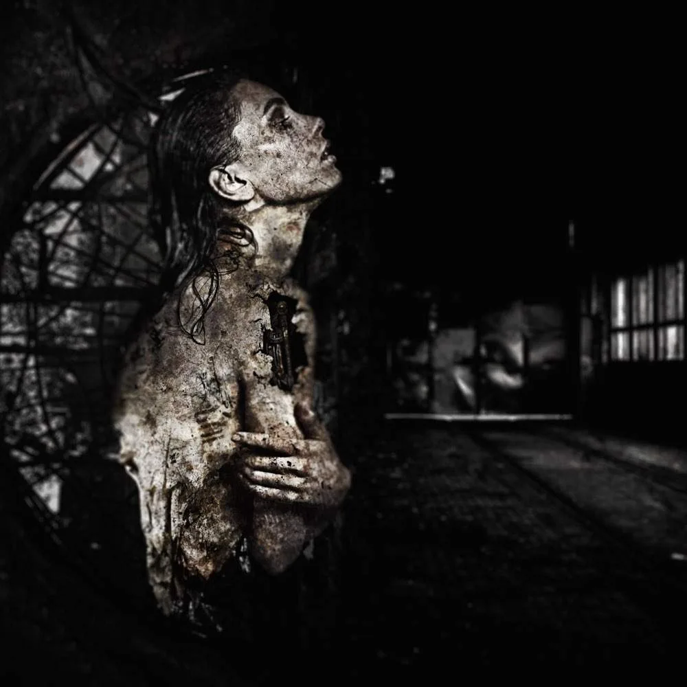 Shell of the Beast cover
