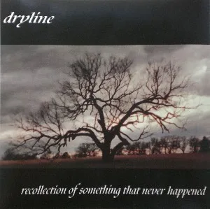 Recollection of Something That Never Happened cover