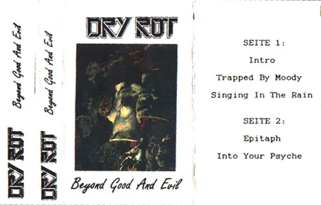 Beyond Good and Evil cover