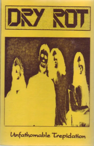 Unfathomable Trepidation cover