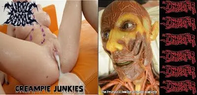 Creampie Junkies / The Profound Beauty of Gross Anatomy cover