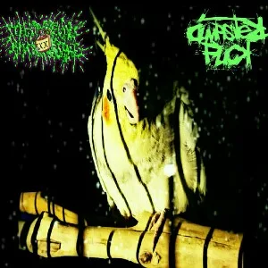 Bird in Space cover