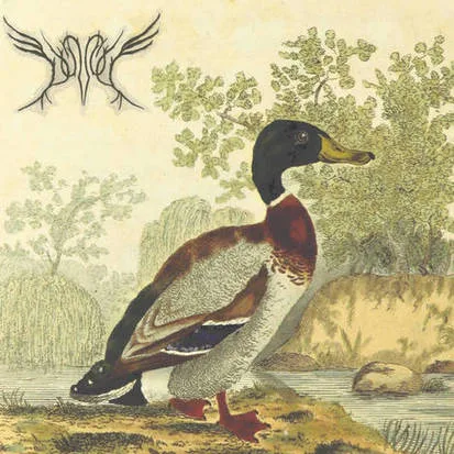 Promo 2015 (Summer Moved On) cover