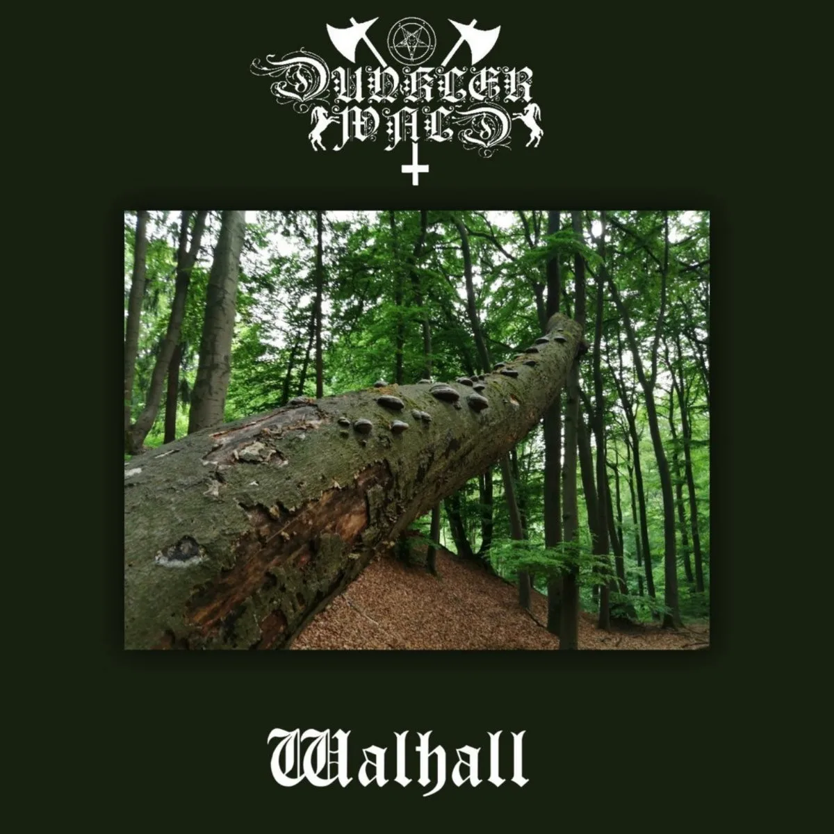 Walhall cover