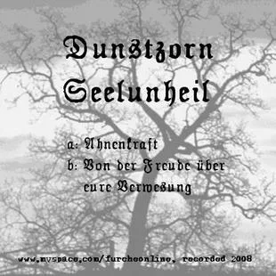 Seelenunheil cover