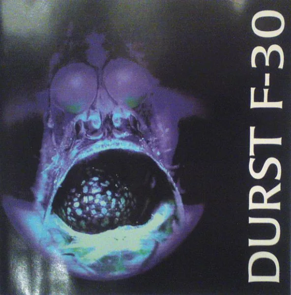 Argyropelecus Affinis cover