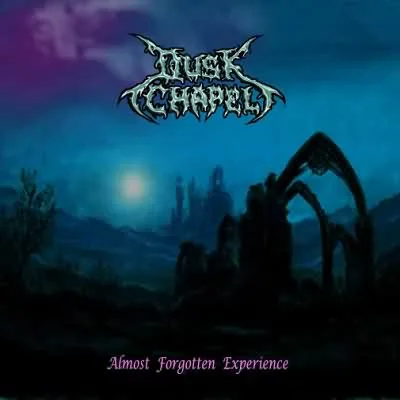 Almost Forgotten Experience cover