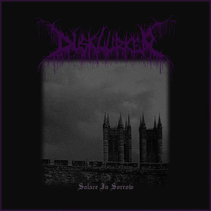 Solace in Sorrow cover