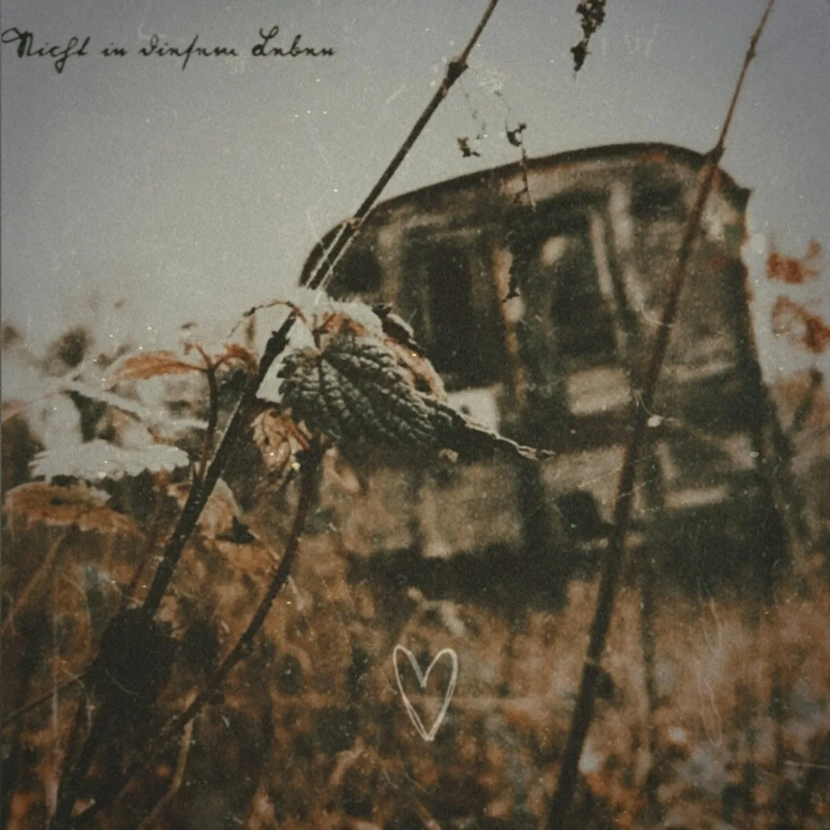 Nicht in diesem Leben cover