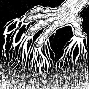 Aurora Majesty cover