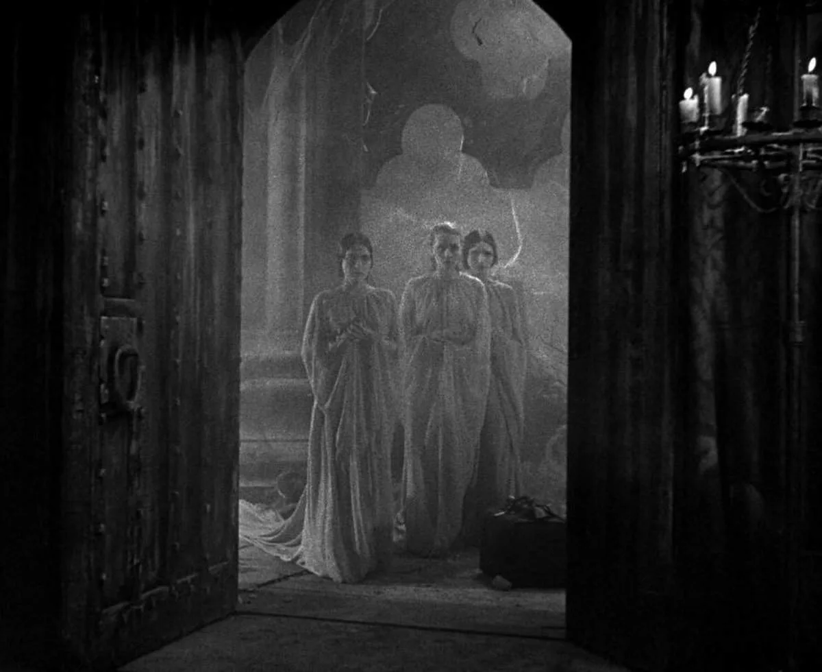 Het duistere licht cover