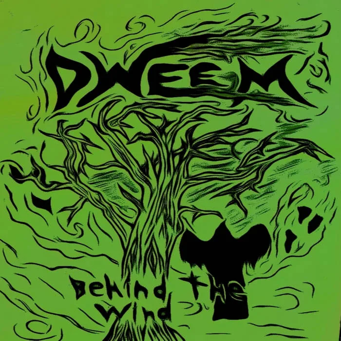 Behind the Wind cover