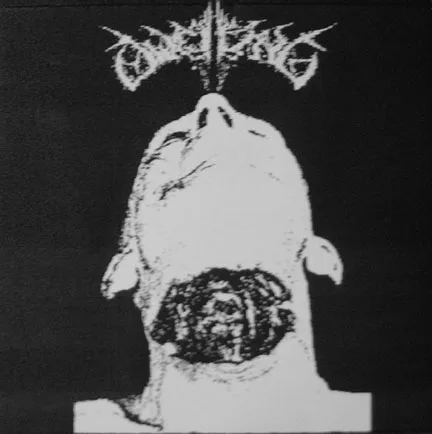 Pierced Thoughts of Desolation cover