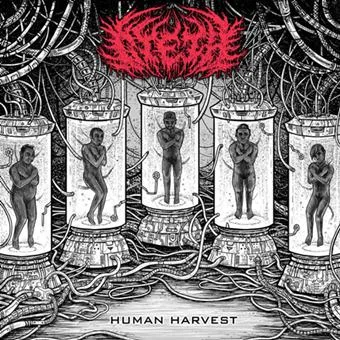 Human Harvest cover