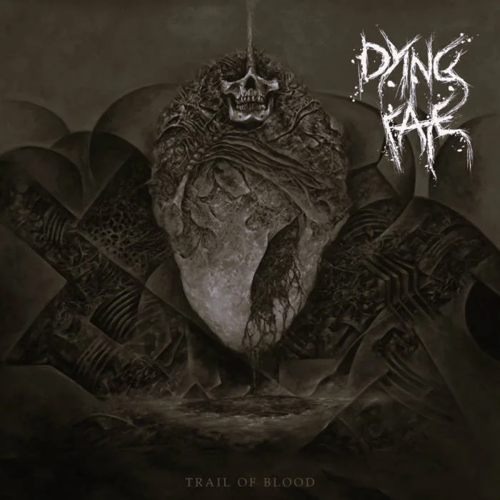 Cursed Illusions cover