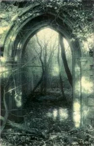 Unter dem Thron der Sterne cover