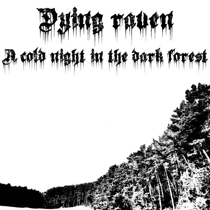 A Cold Night in the Dark Forest cover