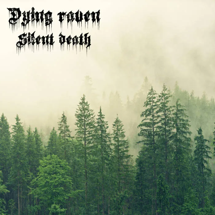 Silent Death cover