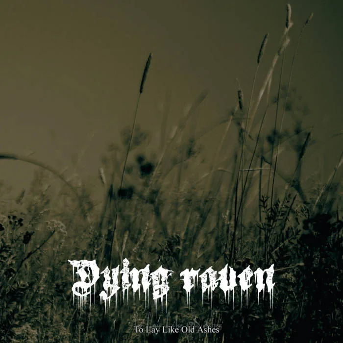 Just for a Moment cover