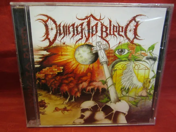 The Decaying Process cover